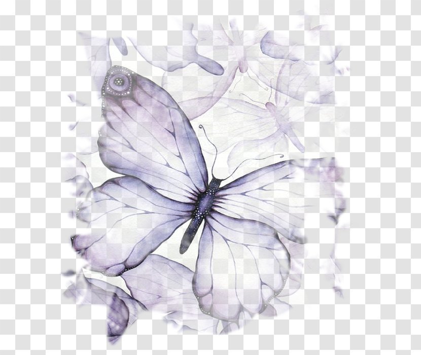 Watercolor Painting Drawing .net - Invertebrate - Wing Transparent PNG