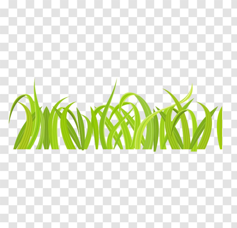 Illustration Animated Cartoon Image - Small Grass Transparent PNG