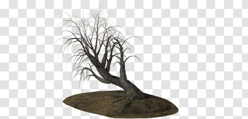 Branch Tree Clip Art Transparent PNG
