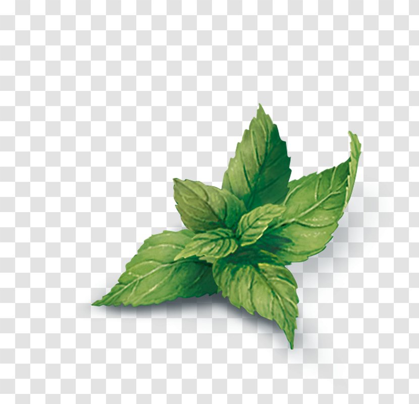 Yogi Tea Peppermint Infusion Herb - Lemon Transparent PNG