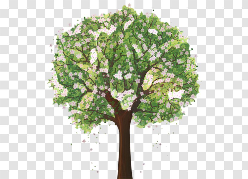 Vector Graphics Tree Clip Art Drawing - Flowering Plant - Stem Transparent PNG