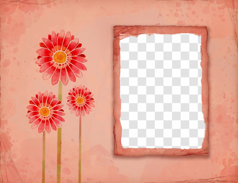 Floral Design - Visual Arts - Wildflower Peach Transparent PNG