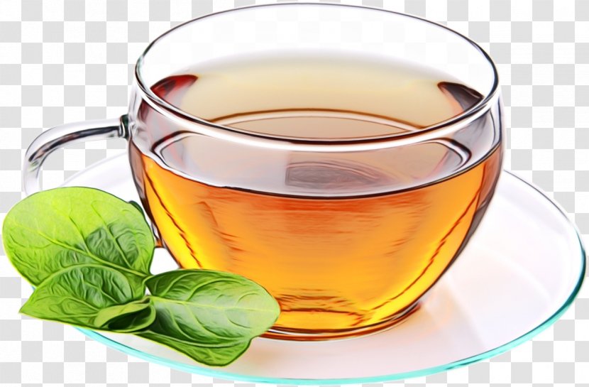 Green Tea - Food - Herb Transparent PNG