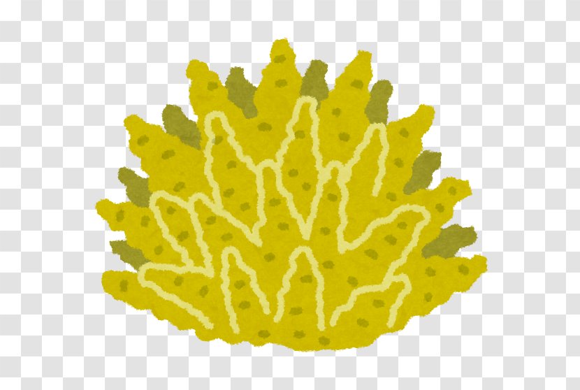 Coral Reef Waifu Gemstone Mustard - Post It Yellow Transparent PNG