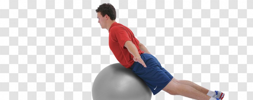 Exercise Balls Physical Fitness Medicine Hyperextension - Ball - Workout Exercises Transparent PNG