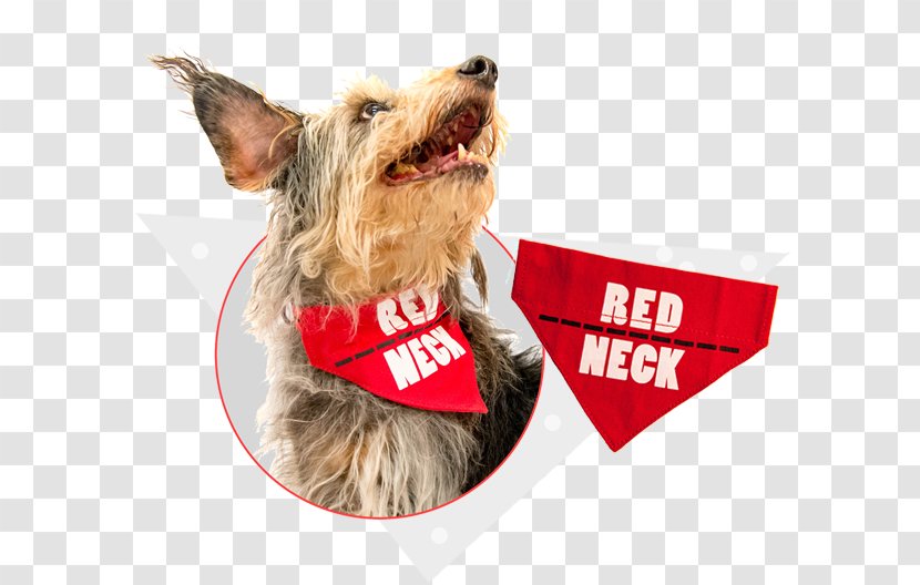 Dog Breed Companion Leash Snout - Carnivoran Transparent PNG