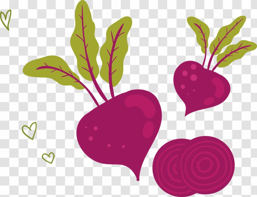 U852cu83dcu7f8eu98df Vegetable Radish Illustration - Heart - Hand-painted Cartoon Vegetables Transparent PNG