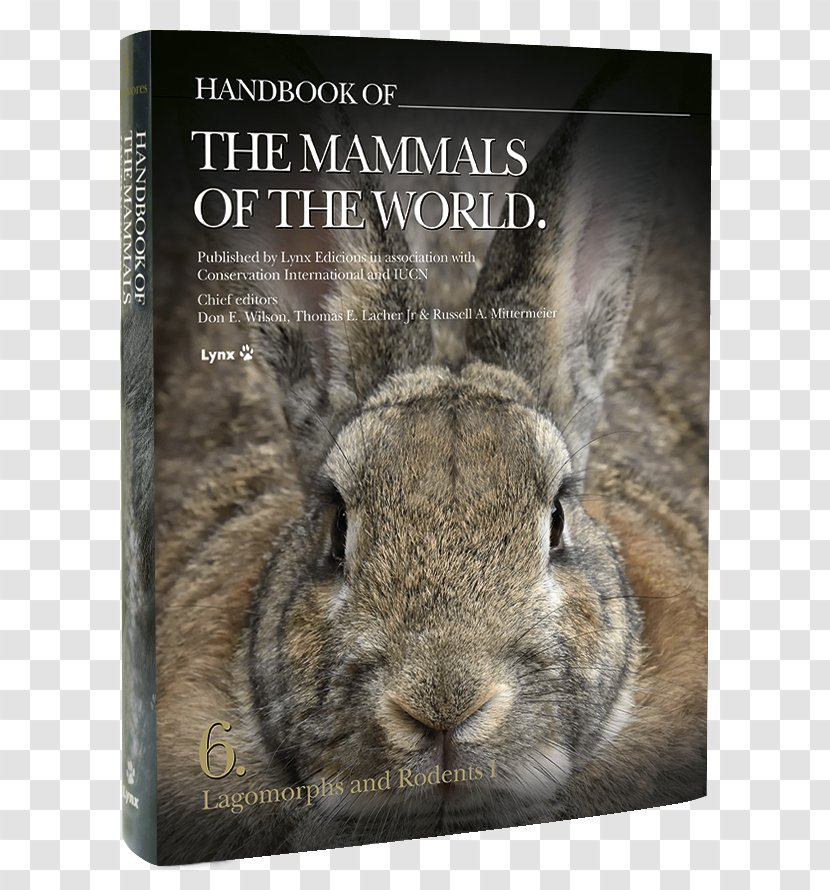 Domestic Rabbit Handbook Of The Mammals World: Lagomorphs And Rodents I Birds World - Don E Wilson - Volume 3Rabbit Transparent PNG