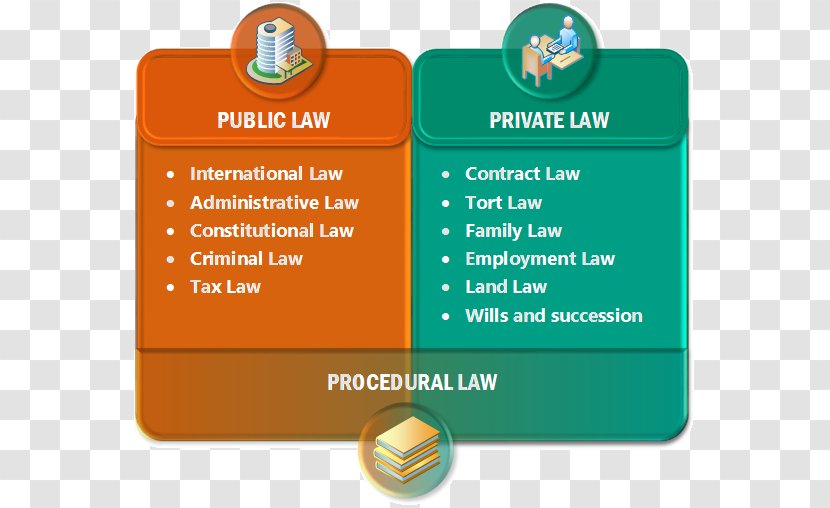 Private Law Public Criminal Civil - College - International Relations Transparent PNG