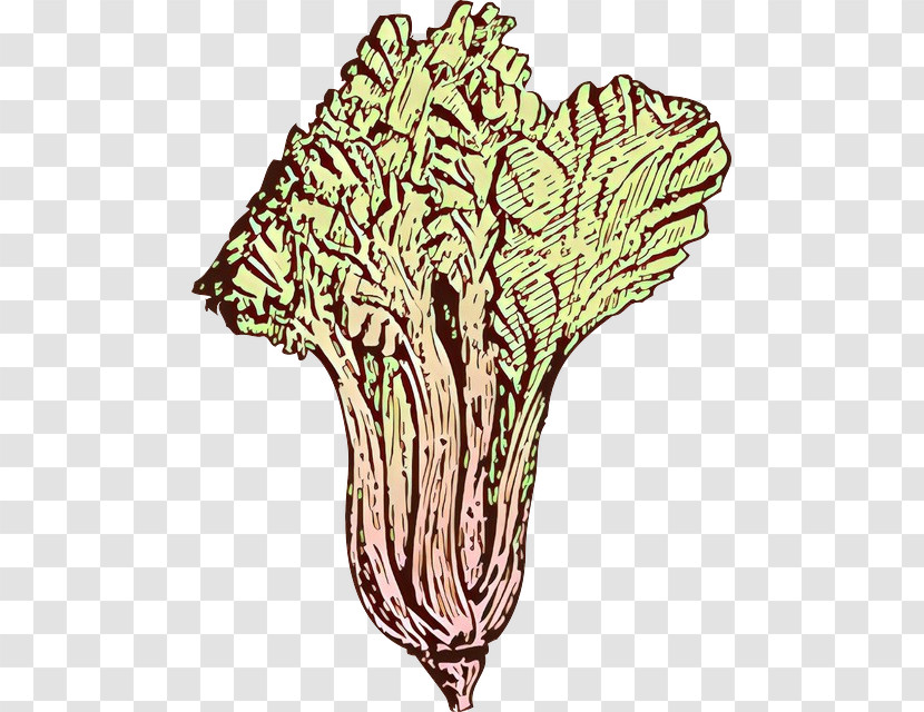 Plant Line Art Tree Cabbage Transparent PNG