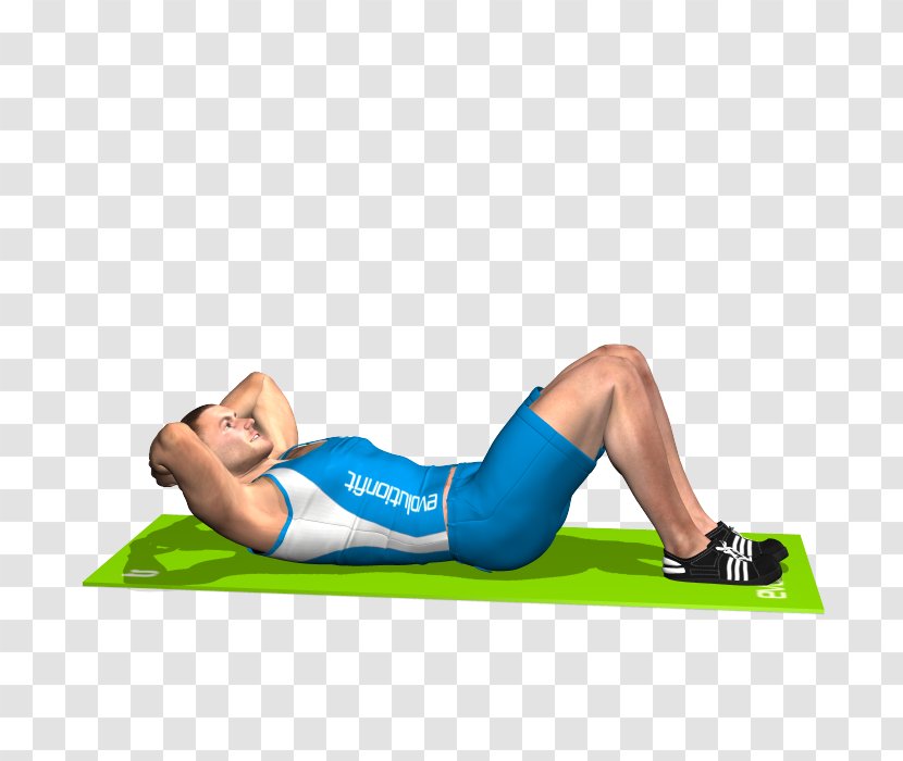 Crunch Abdomen Sit-up Exercise Muscle - Tree - Dumbbell Transparent PNG