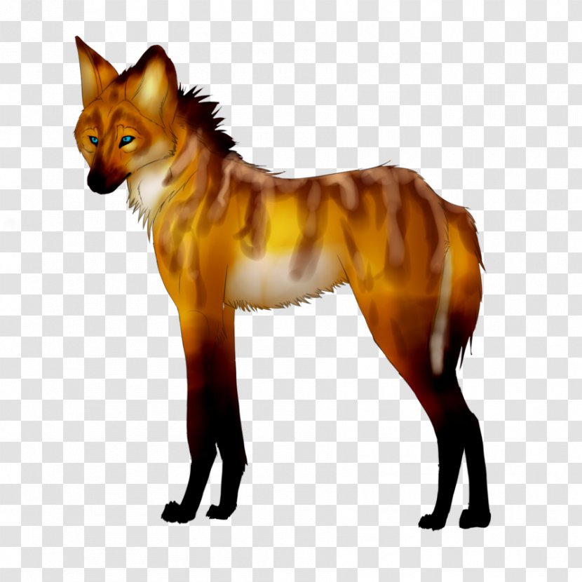 Red Fox Fur Snout Wildlife - Tail Transparent PNG
