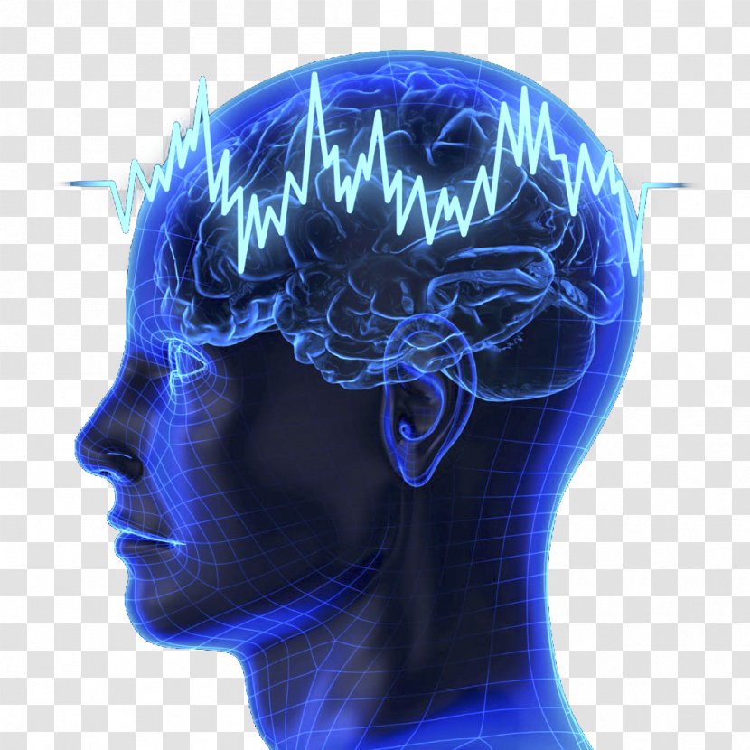 Neural Oscillation Brain Fingerprinting Brainwave Entrainment P300 - Cartoon - Human Model Transparent PNG