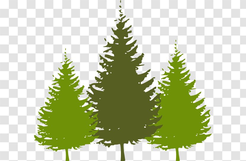 Christmas Tree Fir Clip Art - Grass - Redwood Cliparts Transparent PNG