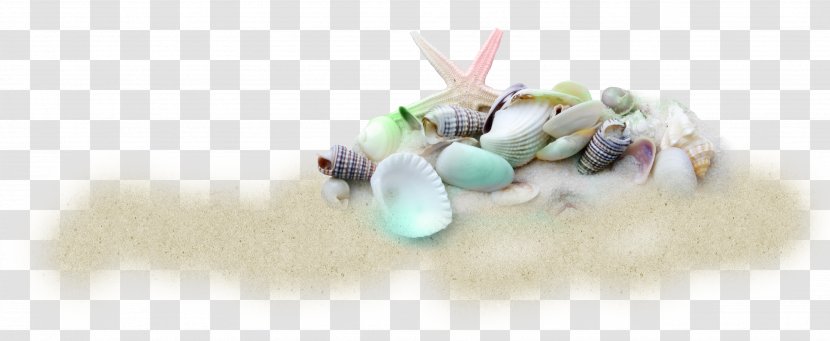 Shell Beach Seashell Sand - Gemstone Transparent PNG