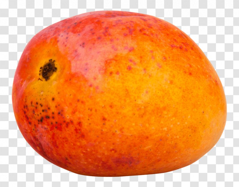 Mango Mangifera Indica Fruit Drupe - Frame - Caricatura Transparent PNG