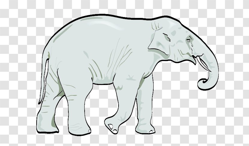 Clip Art Vector Graphics African Elephant Euclidean Elephants - Carnivoran Transparent PNG