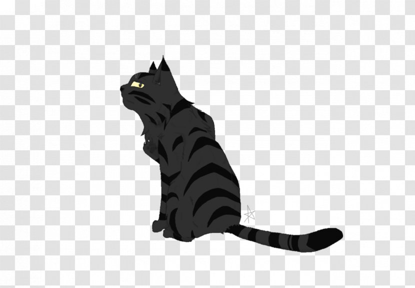 Black Cat Kitten Warriors Darkstripe - Carnivoran Transparent PNG