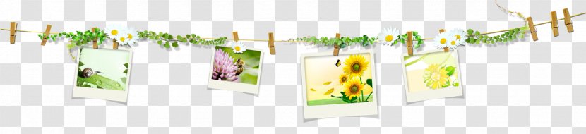 Painting Android - Green - Photos On Rope Transparent PNG