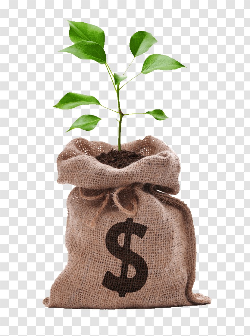 Stock Photography Money Bag Saving Coin - Tree Transparent PNG