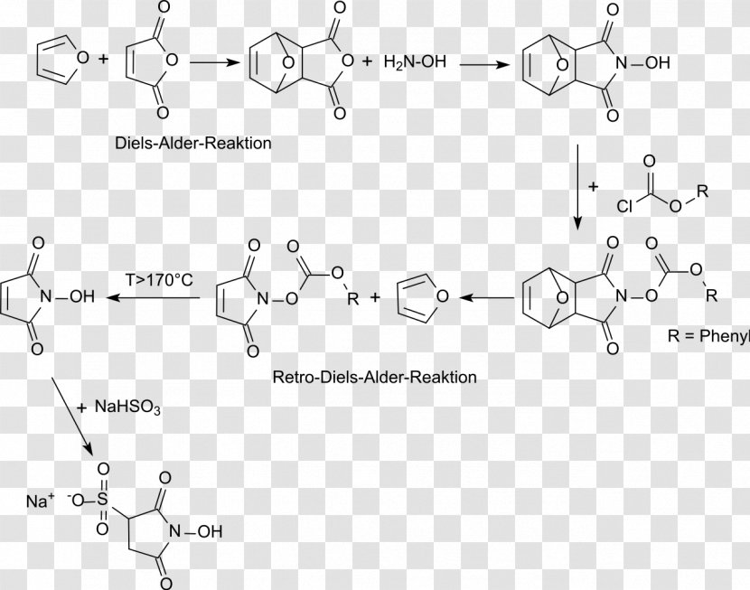 N-Hydroxysulfosuccinimide Sodium Salt N-Hydroxysuccinimide N-Hydroxymaleinimid Metabisulfite Diels–Alder Reaction - Black And White - Alder Transparent PNG