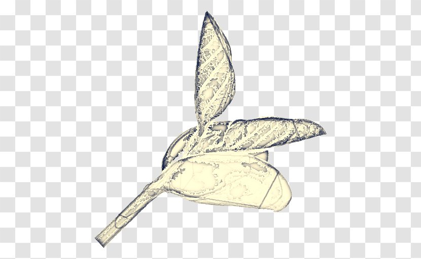 Leaf Drawing - Feather - Wing Transparent PNG