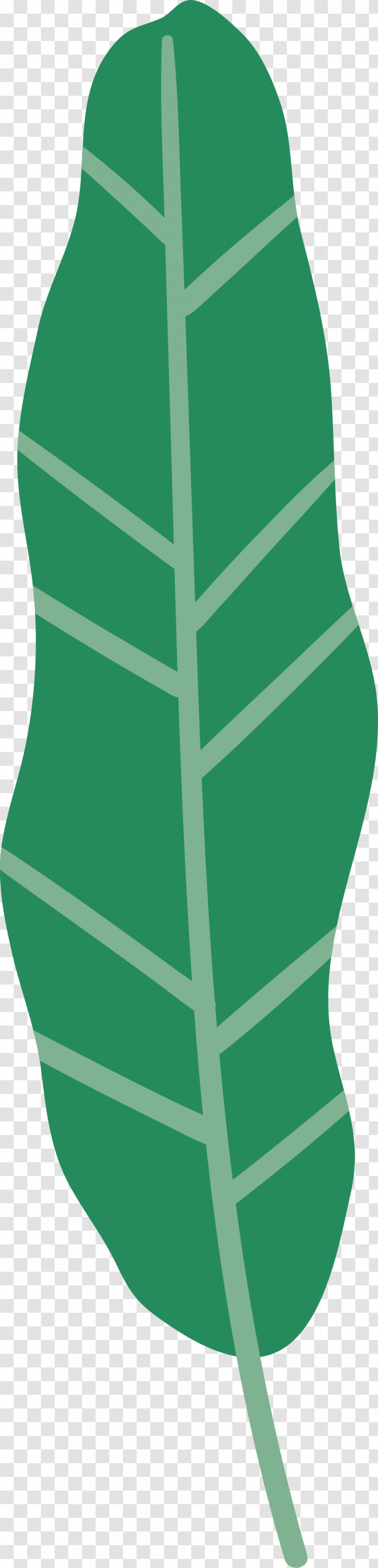 Leaf Transparent PNG