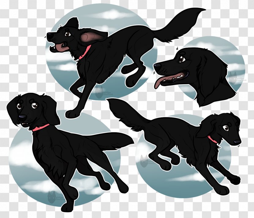 Labrador Retriever Dog Breed Sporting Group - Money Floating Transparent PNG