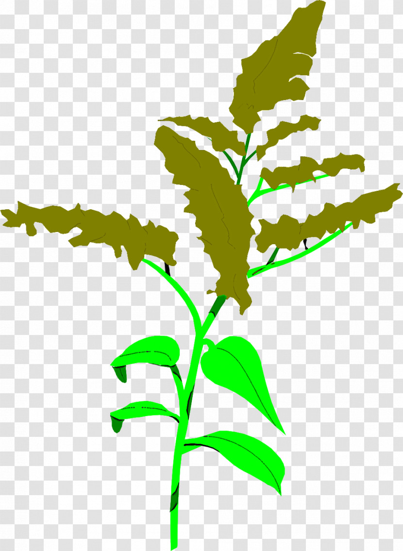 Leaf Flower Plant Plant Stem Goldenrod Transparent PNG