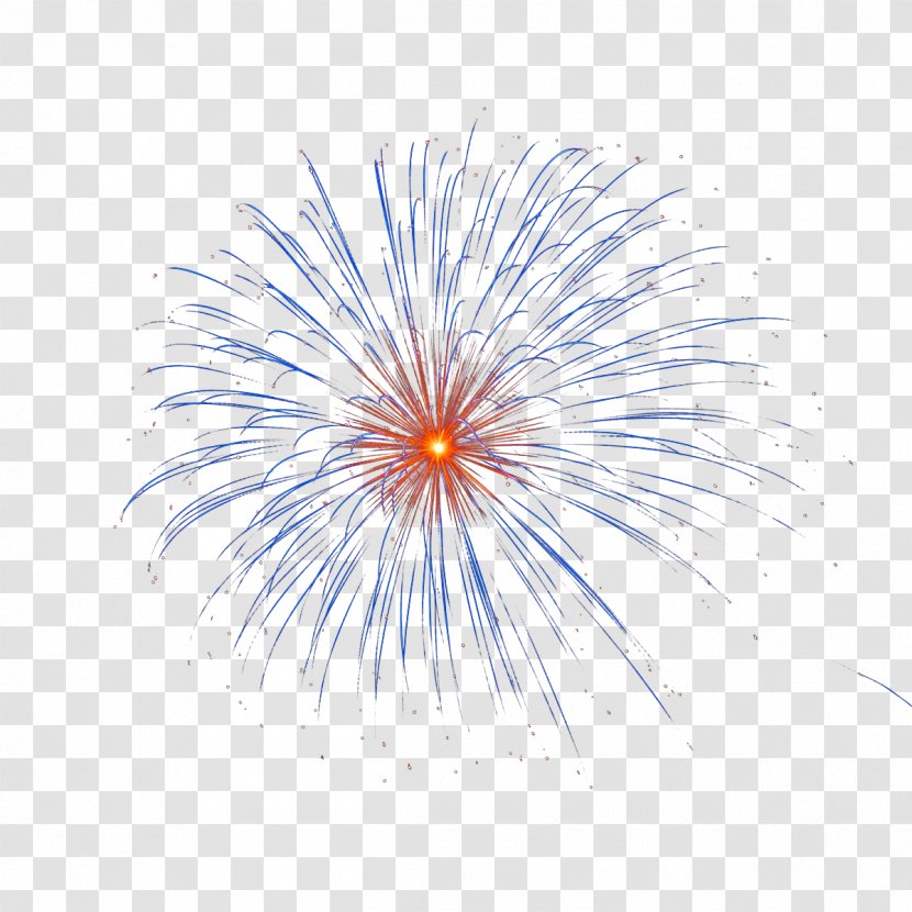 Fireworks Wallpaper - Bonfire Night Transparent PNG