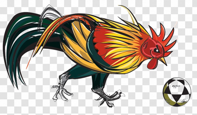 Rooster Beak Feather Dragon - Cartoon Transparent PNG