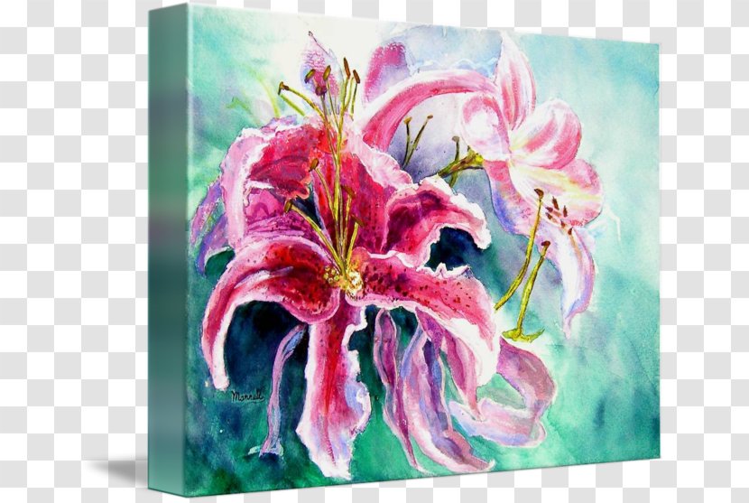 Floral Design Lilium Lily 'Stargazer' Flower Painting - Paint - Stargazer Transparent PNG