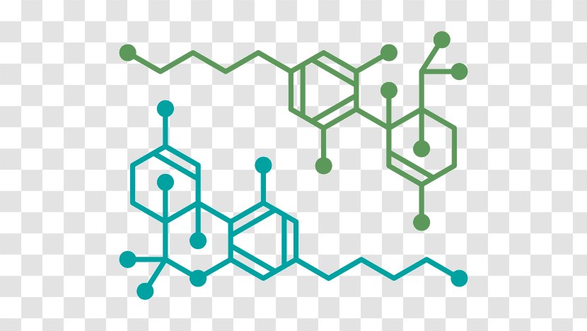 Tetrahydrocannabinol Marijuana Effects Of Cannabis Medical - Hemp Transparent PNG