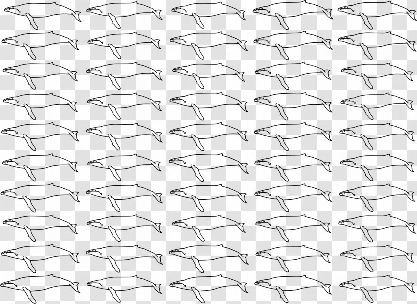 Line Point Angle White Material - Mesh - Humpback Whale Transparent PNG