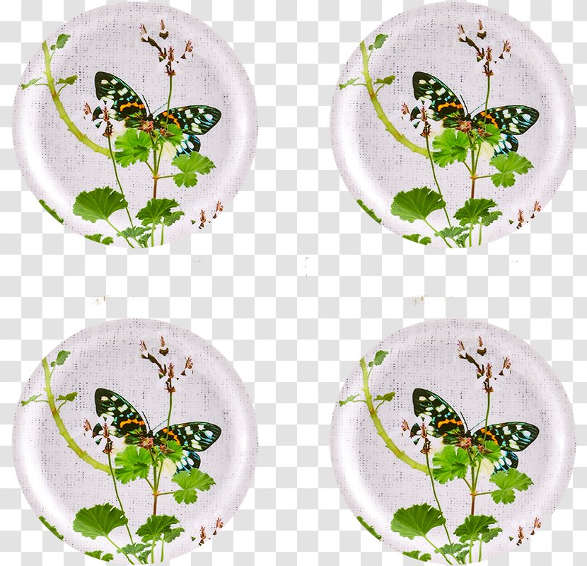Plate Tray Coasters Material - Insect Transparent PNG