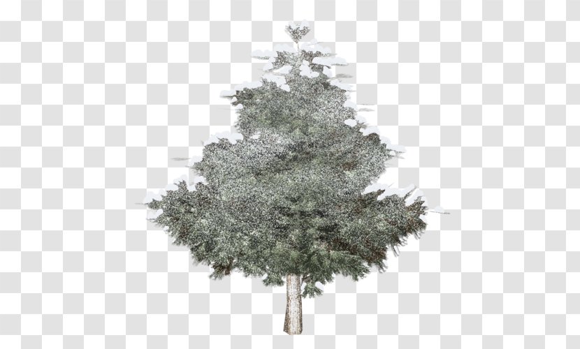 Spruce Christmas Tree Fir Clip Art - Evergreen Transparent PNG