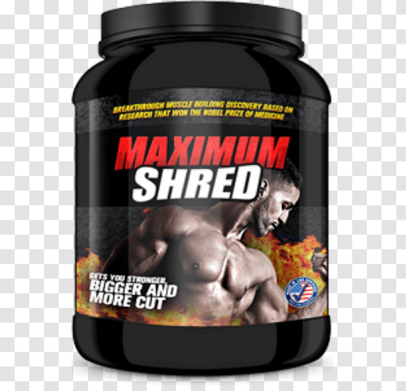 Muscle Hypertrophy Testosterone Anabolic Steroid Anabolism - Shred Transparent PNG