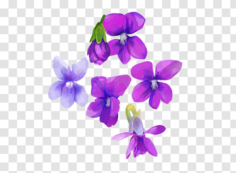 Watercolour Flowers Purple Violet Watercolor Painting - Plant - Flower  Transparent PNG