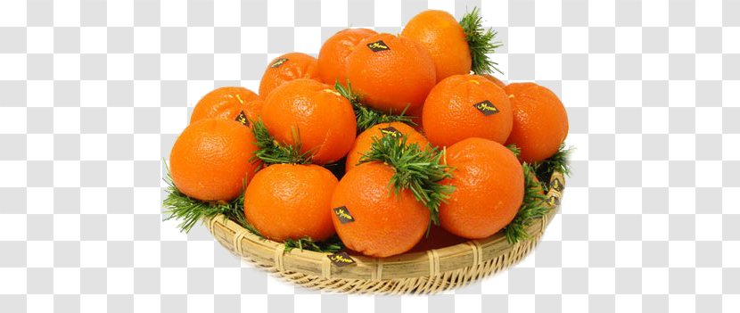 Clementine Mandarin Orange Tangerine Tangelo Bitter - Valencia - Diet Food Transparent PNG