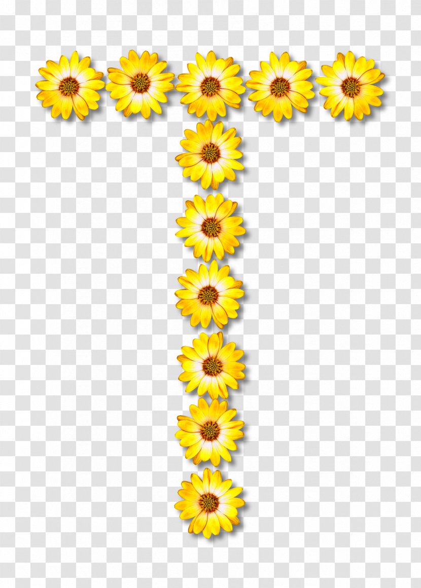 Common Sunflower Cut Flowers Alphabet Clip Art - Plant - Zipper Transparent PNG