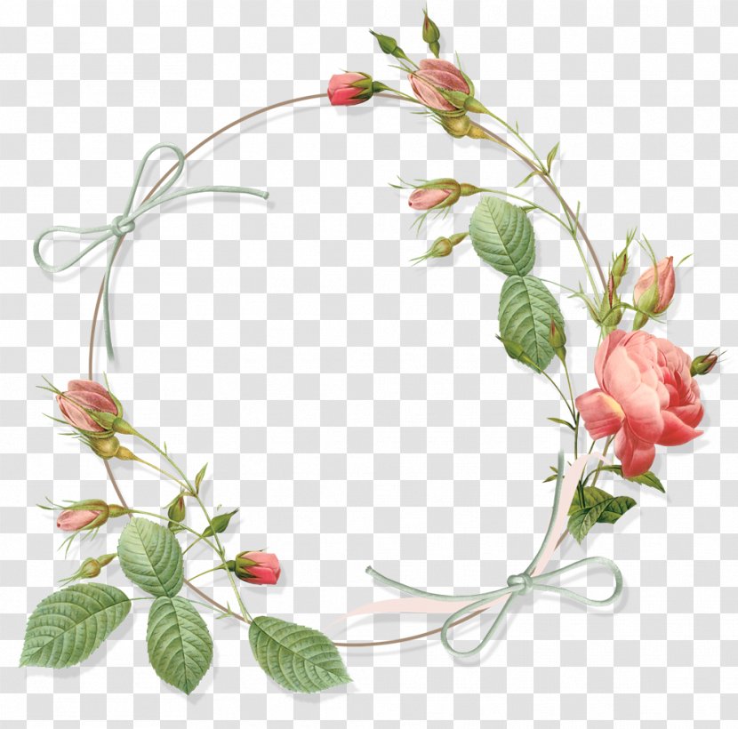 Flower Picture Frames Rose Clip Art - Flowering Plant - Mary Transparent PNG