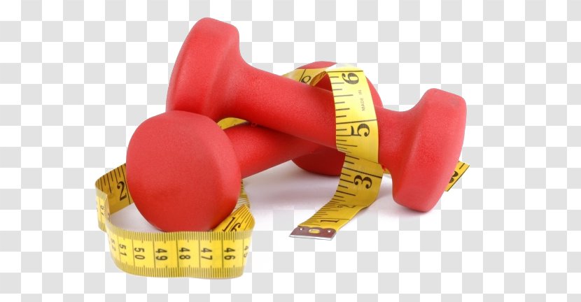 Physical Fitness Weight Training Exercise Loss Personal Trainer - Red Dumbbell Element Transparent PNG