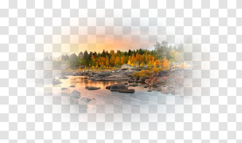 Water Resources River Desktop Wallpaper Tree Computer - Inlet Transparent PNG