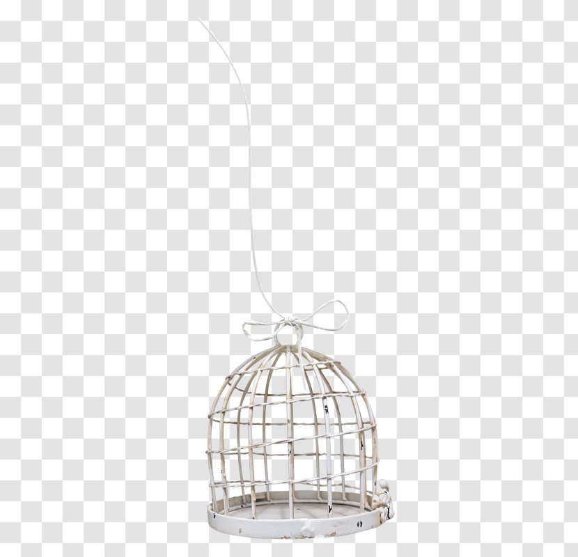 Birdcage Bird Of Prey Transparent PNG