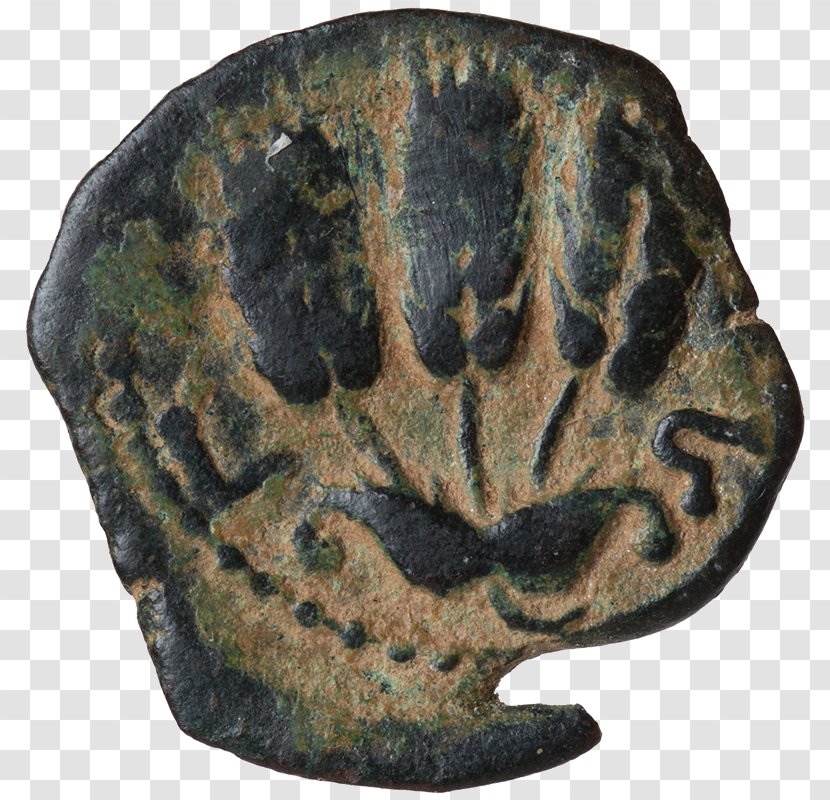 Coin Metal Bronze Organism - Artifact Transparent PNG