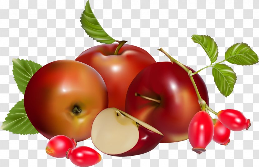 Apple Rose Hip Barbados Cherry Tomato Transparent PNG