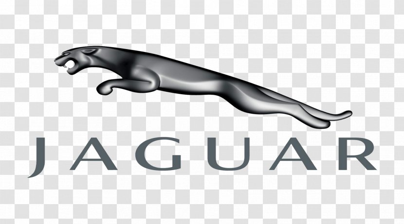 Jaguar Cars Logo Desktop Wallpaper Ford Motor Company - Text - Car Transparent PNG