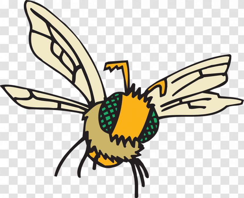 Insect Bee Hornet Eye Clip Art Transparent PNG