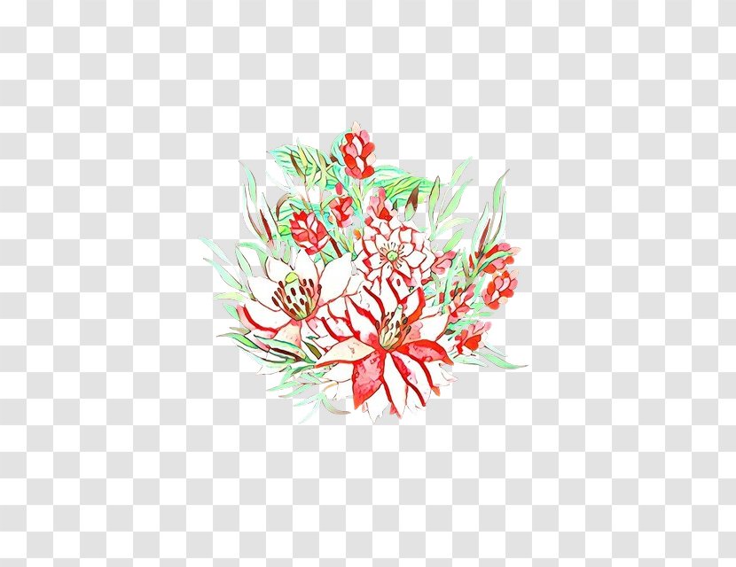 Candy Cane - Flower - Geranium Transparent PNG