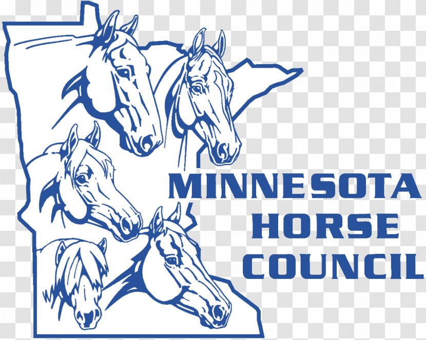 American Paint Horse Association Quarter Hackney Minnesota - Equestrian Transparent PNG